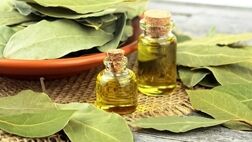 خواص درمانی و شگفت‌انگیز برگ‌بو
