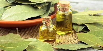 خواص درمانی و شگفت‌انگیز برگ‌بو
