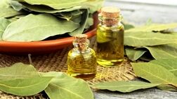 خواص درمانی و شگفت‌انگیز برگ‌بو
