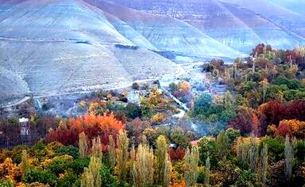 thm_18560270_289