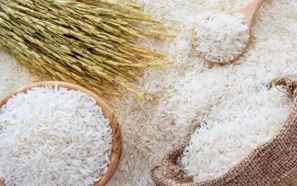 ثبت سفارش برنج فردا آغاز می‌شود