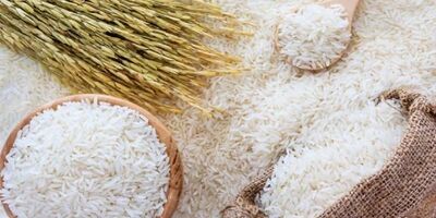 قیمت روز برنج ایرانی مشخص شد (دم‌سیاه، شیرودی، سرگل و...)