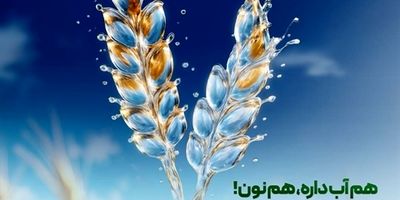 اعلام اسامی شعب کشیک بانک کشاورزی در روزهای 12 تا 14 اسفند ماه
