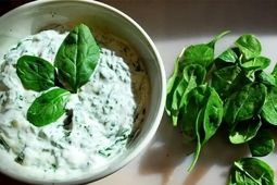 طرز تهیه بورانی اسفناج خانگی
