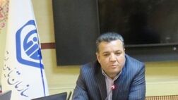 تشریح طرح مشوق های بیمه ای سهم کارفرما 
