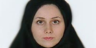 تداوم ورود نقدینگی