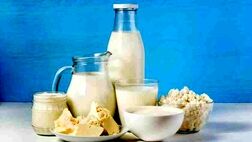 افزایش ۱۰‌ تا ۳۰ درصدی قیمت محصولات لبنی در بازار