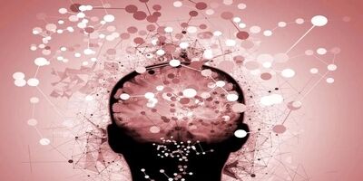 آیا زوال عقل با چاقی ارتباط دارد؟