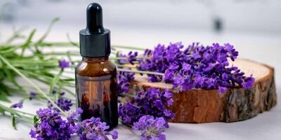 گیاهی که ناجی بیماران دیابتی است
