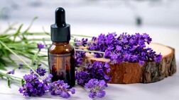 گیاهی که ناجی بیماران دیابتی است
