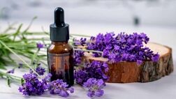 گیاهی که ناجی بیماران دیابتی است
