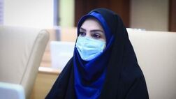 «برکت» و «پاستور» اوایل تابستان به تولید انبوه می‌رسند