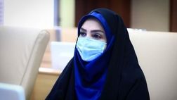 «برکت» و «پاستور» اوایل تابستان به تولید انبوه می‌رسند