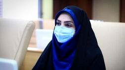 «برکت» و «پاستور» اوایل تابستان به تولید انبوه می‌رسند
