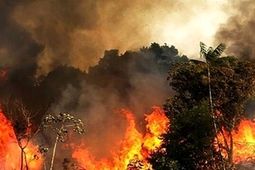 آتش‌سوزی در نیزار‌های تالاب کانی‌برازان مهاباد مهار شد