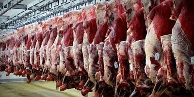 قیمت گوشت قرمز  تغییر نکرده است