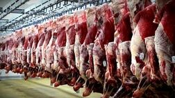 عرضه گوشت گرم وارداتی در میادین از هفته آینده
