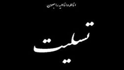 پیام تسلیت رییس کل بیمه مرکزی به مناسبت جان باختن جمعی از هموطنان در حوادث اخیر