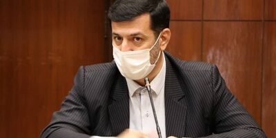  ۹۰ درصد خدمات غیر حاکمیتی حوزه دامپزشکی به بخش خصوصی واگذار شد 