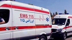 برخورد شتر با پراید 6 مصدوم در پی داشت