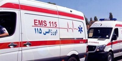 برخورد شتر با پراید 6 مصدوم در پی داشت