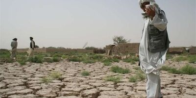 بیش از ۱۵ میلیارد تومان خسارت به کشاورزان پرداخت شد