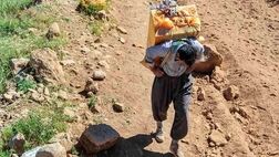 سود اصلی کوله‌بری به جیب چه‌کسانی می‌رود؟