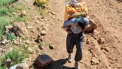 سود اصلی کوله‌بری به جیب چه‌کسانی می‌رود؟