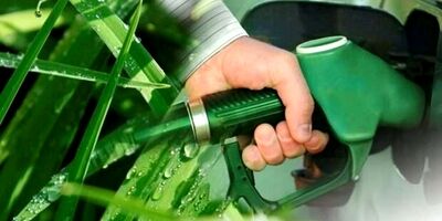  روغن آفتابگردان بهتر است یا روغن زیتون؟