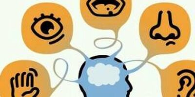 تقویت حواس پنجگانه با چند راه ساده
