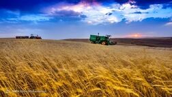 ضریب نفوذ 30 درصدی بیمه محصولات کشاورزی قابل قبول نیست