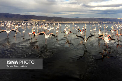 63316257_DJI_0022-copy