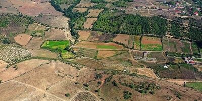 
۹۸۵ هکتار از زمین‌های دولتی فوری رفع تعرض شد