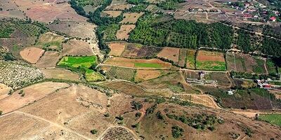 
۹۸۵ هکتار از زمین‌های دولتی فوری رفع تعرض شد