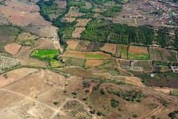 
۹۸۵ هکتار از زمین‌های دولتی فوری رفع تعرض شد