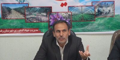 هیچ‌یک از شرکت‌های بیمه‌ای بازرگانی به  سراغ باغ‌های پسته نرفته‌اند