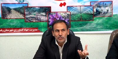 هیچ‌یک از شرکت‌های بیمه‌ای بازرگانی به  سراغ باغ‌های پسته نرفته‌اند