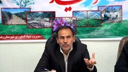 هیچ‌یک از شرکت‌های بیمه‌ای بازرگانی به  سراغ باغ‌های پسته نرفته‌اند