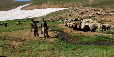 حدود ۷ هزار خانوار عشایری تحت پوشش بیمه اجتماعی قرار گرفتند
