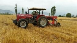 جبران خسارت کشاورزان تالش از صندوق بیمه 
