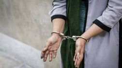 سرقت‌های سریالی خدمتکار قلابی
