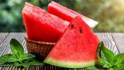 آغاز برداشت و توزیع هندوانه‌های یلدایی