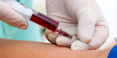 راهنمای جامع بیمه تامین اجتماعی دامداران در سال ۱۴۰۴