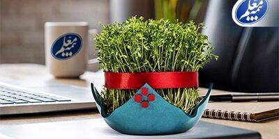رشد 80 درصدی حق بیمه تولیدی بیمه معلم
