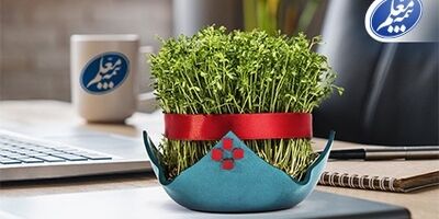 بیمه معلم در ایام نوروز آماده خدمت‌رسانی است
