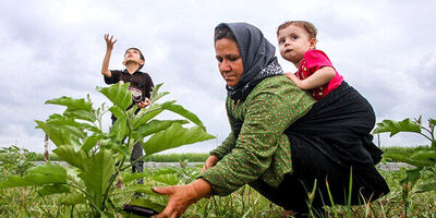 چه کسانی مشمول بیمه مادران غیرشاغل می‌شوند؟
