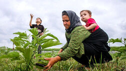 چه کسانی مشمول بیمه مادران غیرشاغل می‌شوند؟
