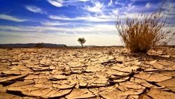 
احیای حدود ٩ میلیون هکتار کویر در ایران