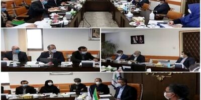 بخشنامه نحوه اجرای دورکاری کارکنان به میزان ۵۰ درصد ابلاغ شد