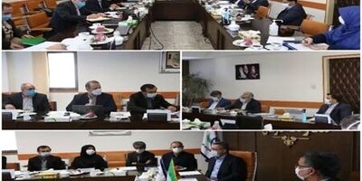 استانداردهای خدمات پزشکی از راه دور دانشگاه‌ها به زودی ابلاغ می‌شود
